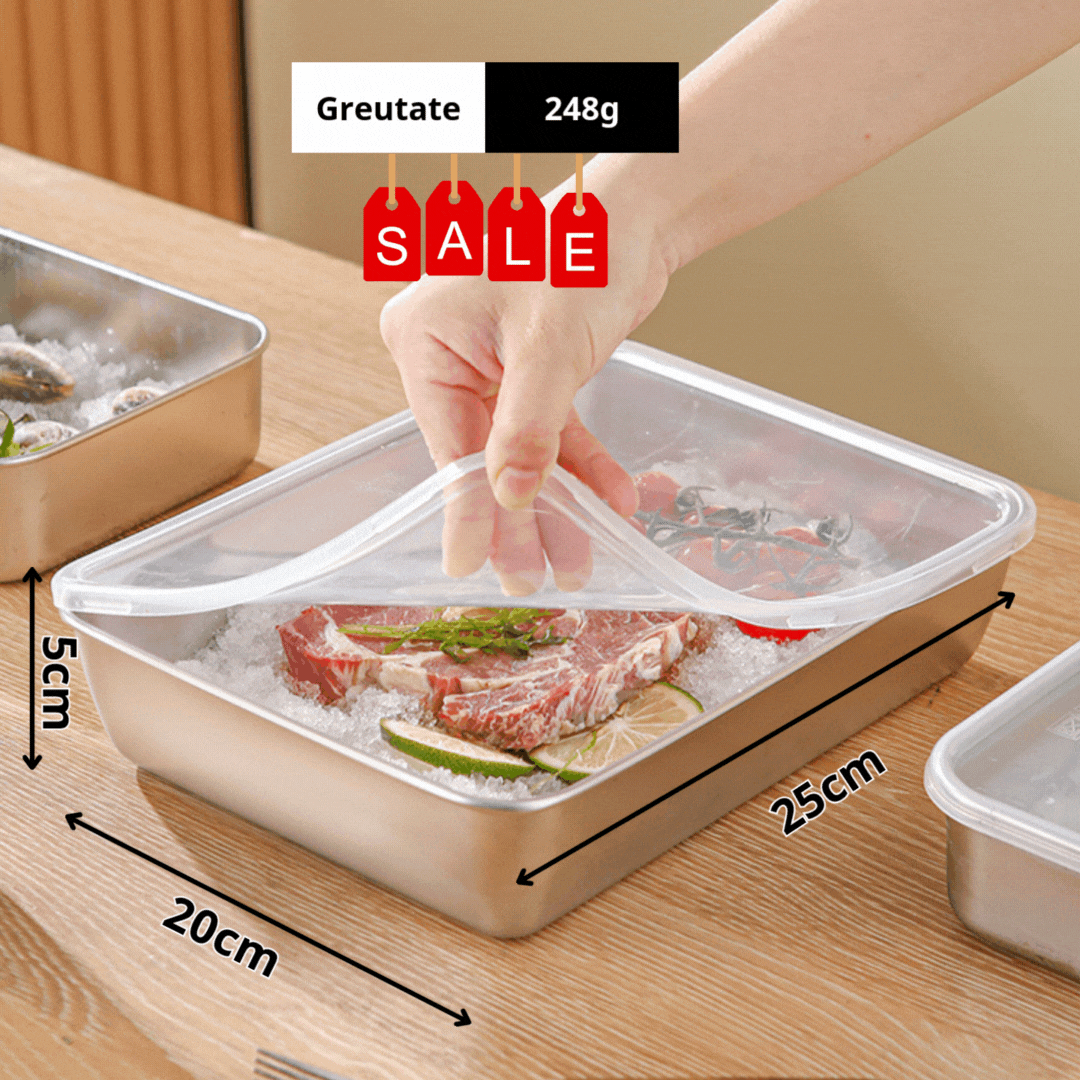 Recipient Alimentar Din Oțel Inoxidabil 304 (25 x 20 x 6 cm)